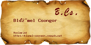 Blümel Csongor névjegykártya