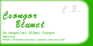 csongor blumel business card
