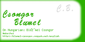 csongor blumel business card